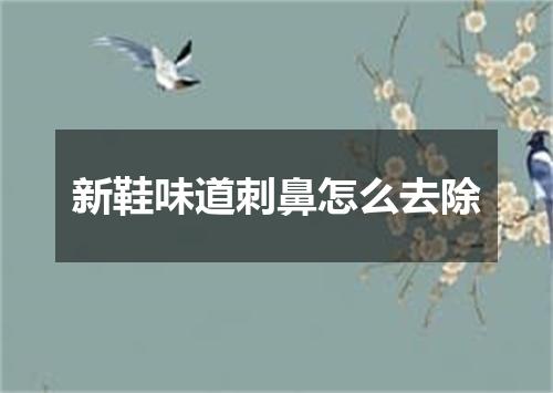 新鞋味道刺鼻怎么去除