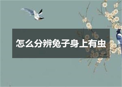 怎么分辨兔子身上有虫