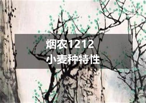 烟农1212小麦种特性