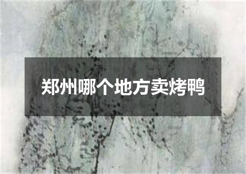 郑州哪个地方卖烤鸭