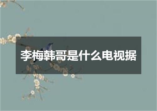 李梅韩哥是什么电视据