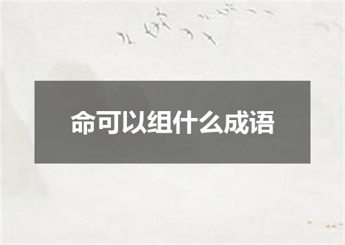 命可以组什么成语