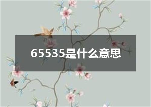65535是什么意思