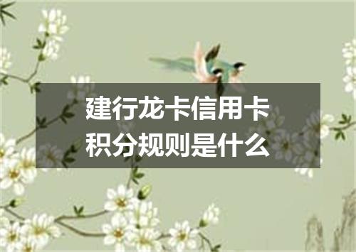 建行龙卡信用卡积分规则是什么