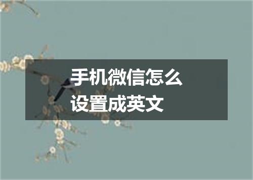 手机微信怎么设置成英文