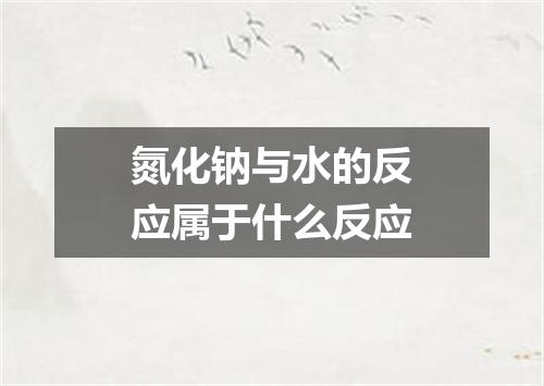 氮化钠与水的反应属于什么反应