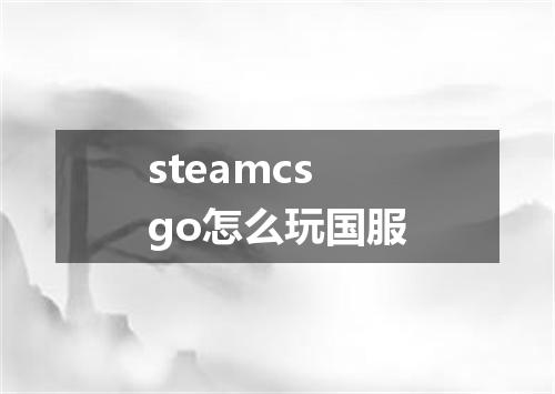 steamcsgo怎么玩国服