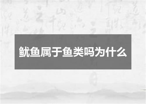 鱿鱼属于鱼类吗为什么