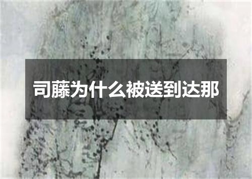 司藤为什么被送到达那