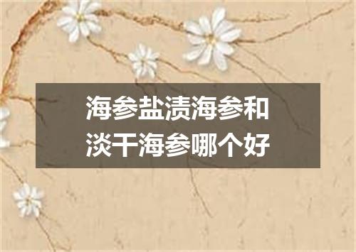 海参盐渍海参和淡干海参哪个好