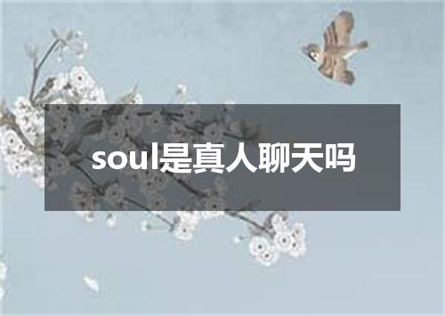 soul是真人聊天吗