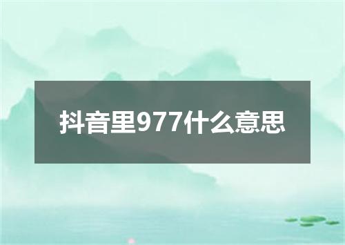 抖音里977什么意思