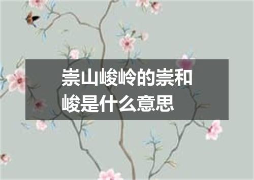 崇山峻岭的崇和峻是什么意思
