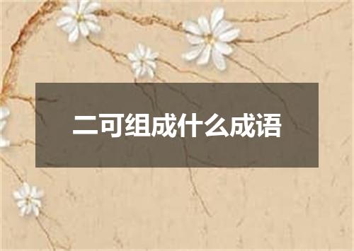 二可组成什么成语