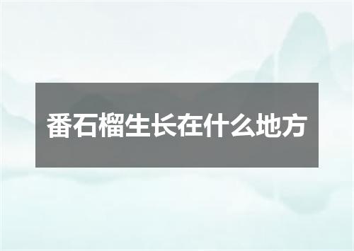 番石榴生长在什么地方