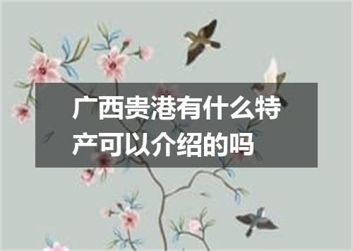 广西贵港有什么特产可以介绍的吗