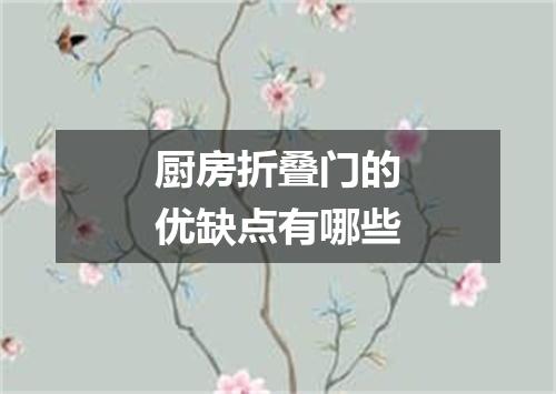 厨房折叠门的优缺点有哪些
