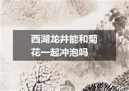 西湖龙井能和菊花一起冲泡吗