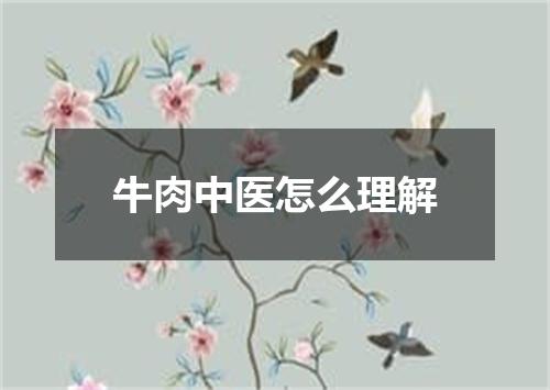 牛肉中医怎么理解