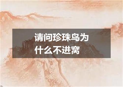 请问珍珠鸟为什么不进窝