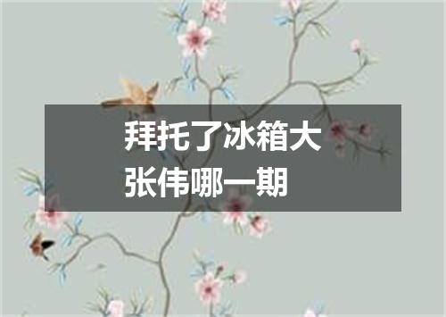 拜托了冰箱大张伟哪一期