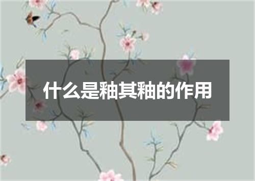 什么是釉其釉的作用