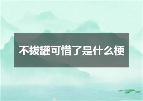 不拔罐可惜了是什么梗