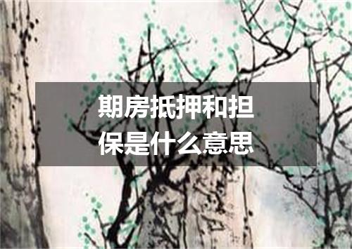 期房抵押和担保是什么意思