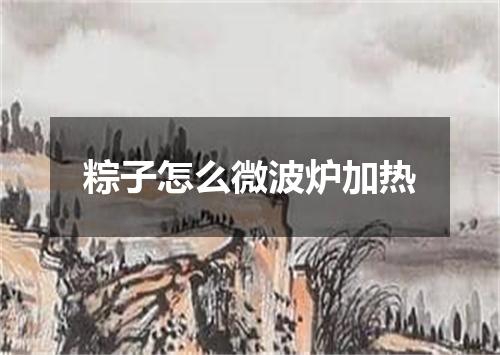 粽子怎么微波炉加热