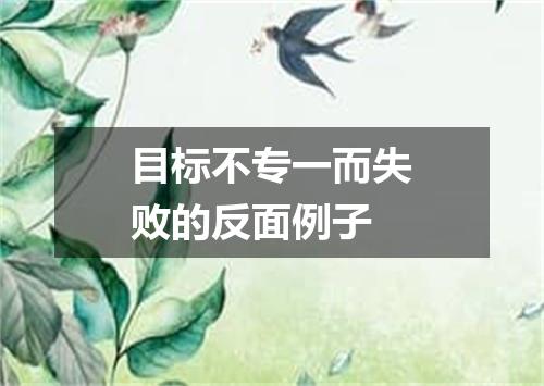 目标不专一而失败的反面例子