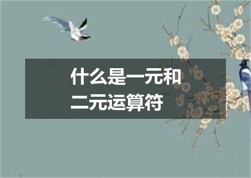 什么是一元和二元运算符