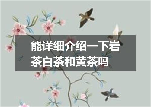 能详细介绍一下岩茶白茶和黄茶吗