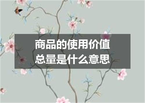 商品的使用价值总量是什么意思