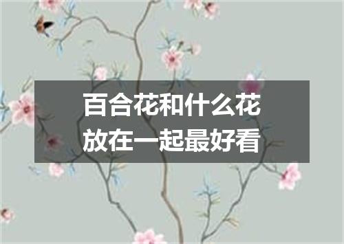 百合花和什么花放在一起最好看