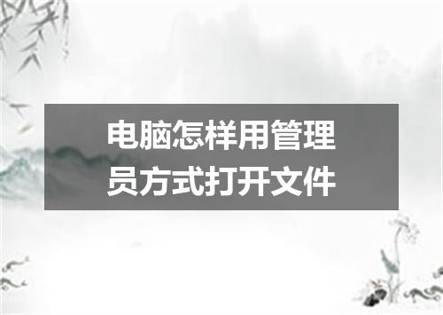 电脑怎样用管理员方式打开文件