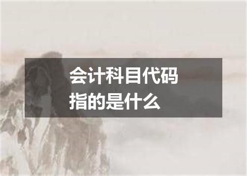 会计科目代码指的是什么