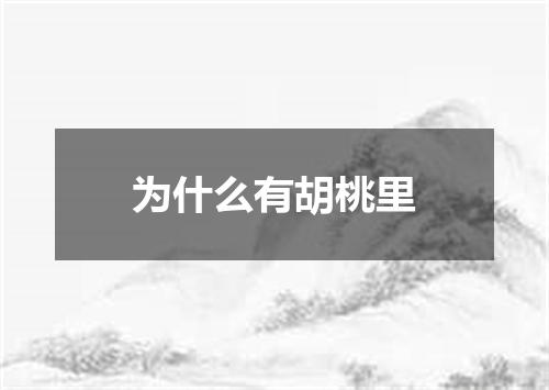 为什么有胡桃里