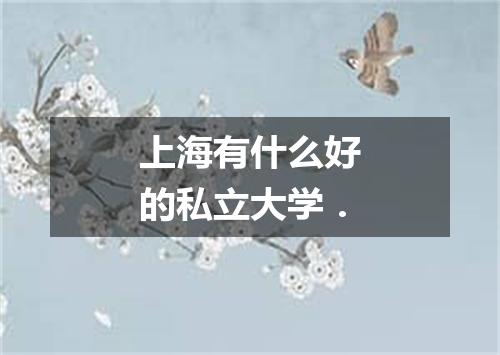 上海有什么好的私立大学．