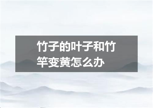 竹子的叶子和竹竿变黄怎么办