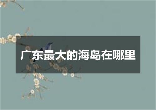 广东最大的海岛在哪里
