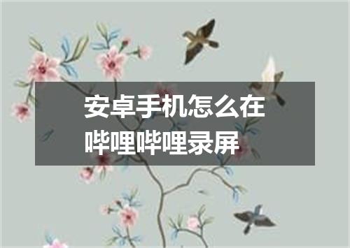 安卓手机怎么在哔哩哔哩录屏