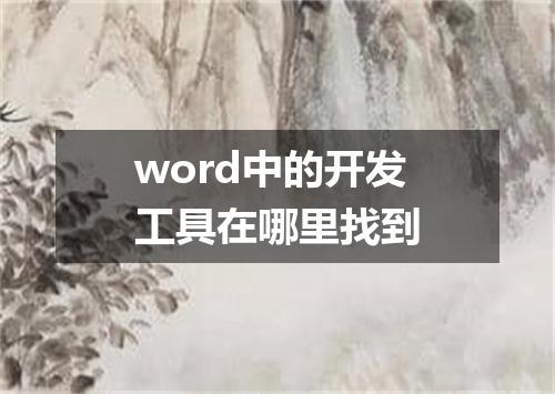 word中的开发工具在哪里找到