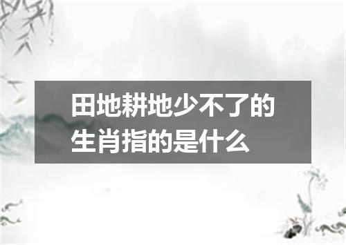 田地耕地少不了的生肖指的是什么