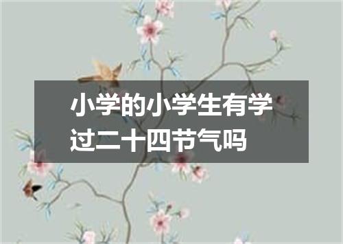 小学的小学生有学过二十四节气吗