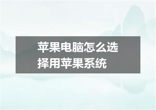苹果电脑怎么选择用苹果系统