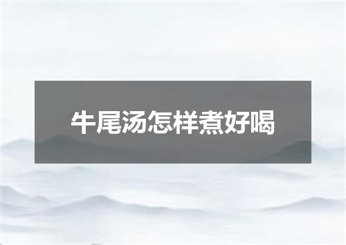 牛尾汤怎样煮好喝