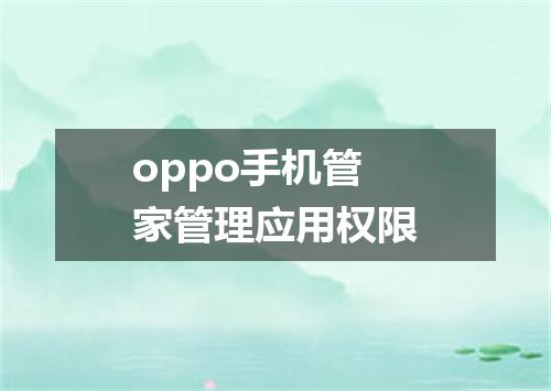 oppo手机管家管理应用权限