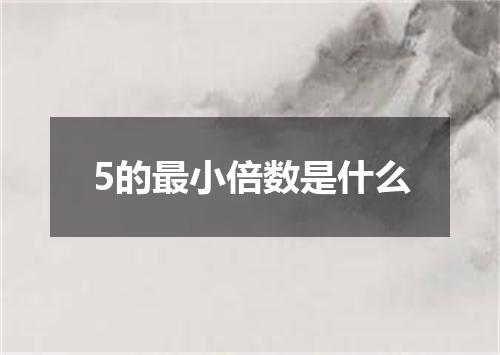 5的最小倍数是什么