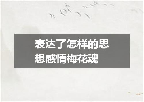 表达了怎样的思想感情梅花魂