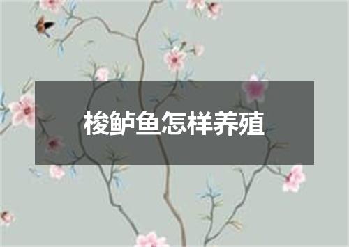 梭鲈鱼怎样养殖